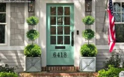 Green Mountain Boxwood 3-Ball Poodle Tier Topiary - 6 Gallon Pot -Plant Outlet Store buxus green mountain 3 ball topiary 20