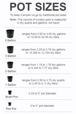 Plant Outlet Store -Plant Outlet Store pot size chart 2022 404